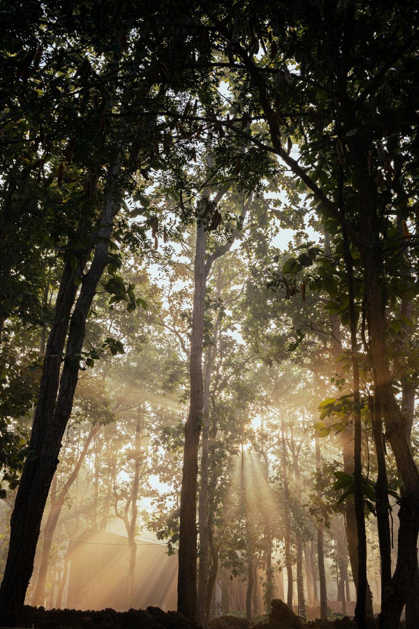 Hotel Sonar Bangla Joypur Forest Buitenkant foto